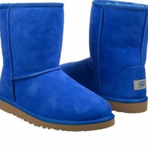 Electric Blue Uggs